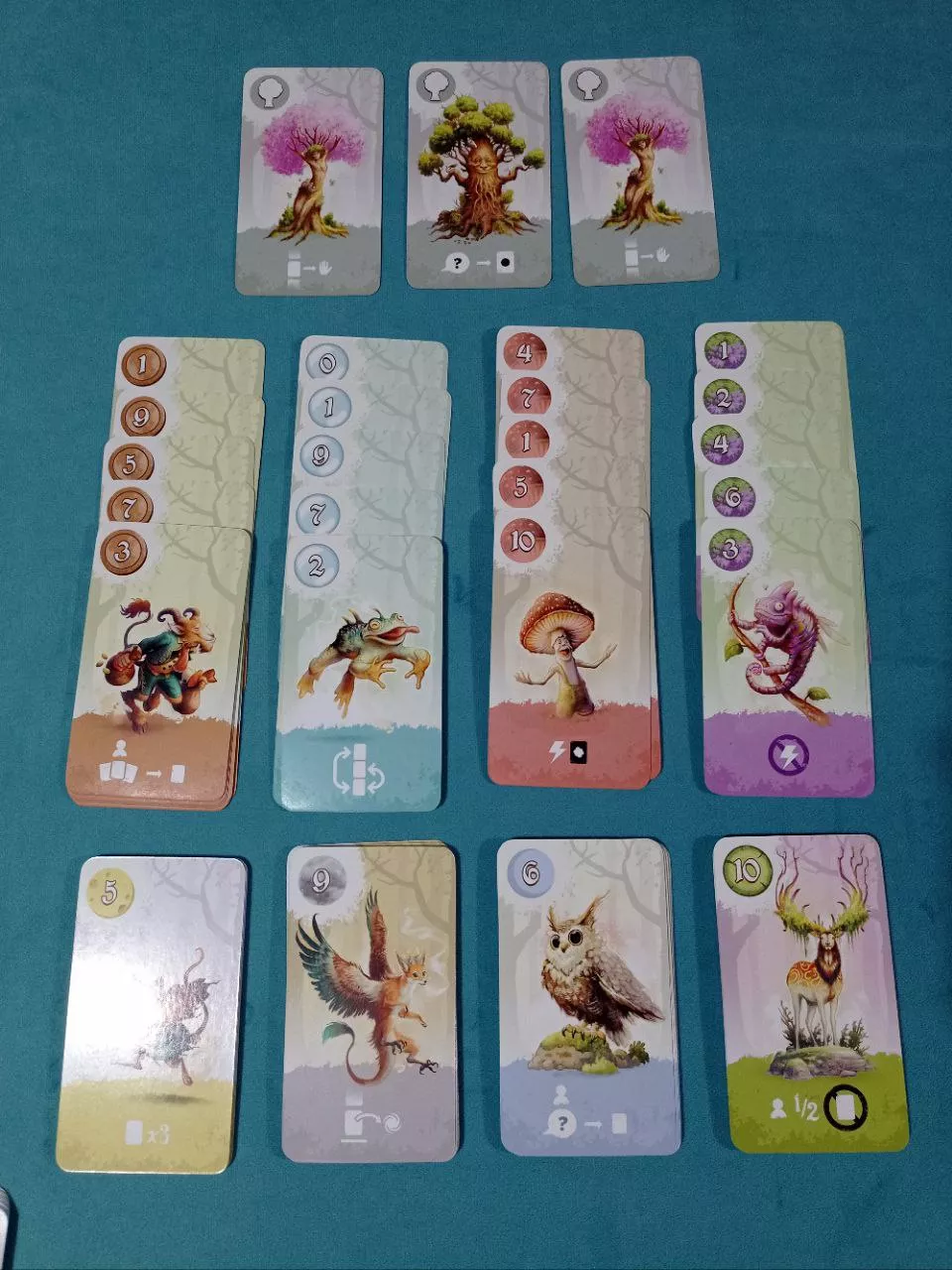 Equinox Caja Morada